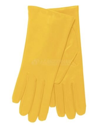 Women Lined Classic Leather Winter Dressing Gloves